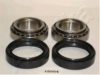 ASHIKA 44-15004 Wheel Bearing Kit